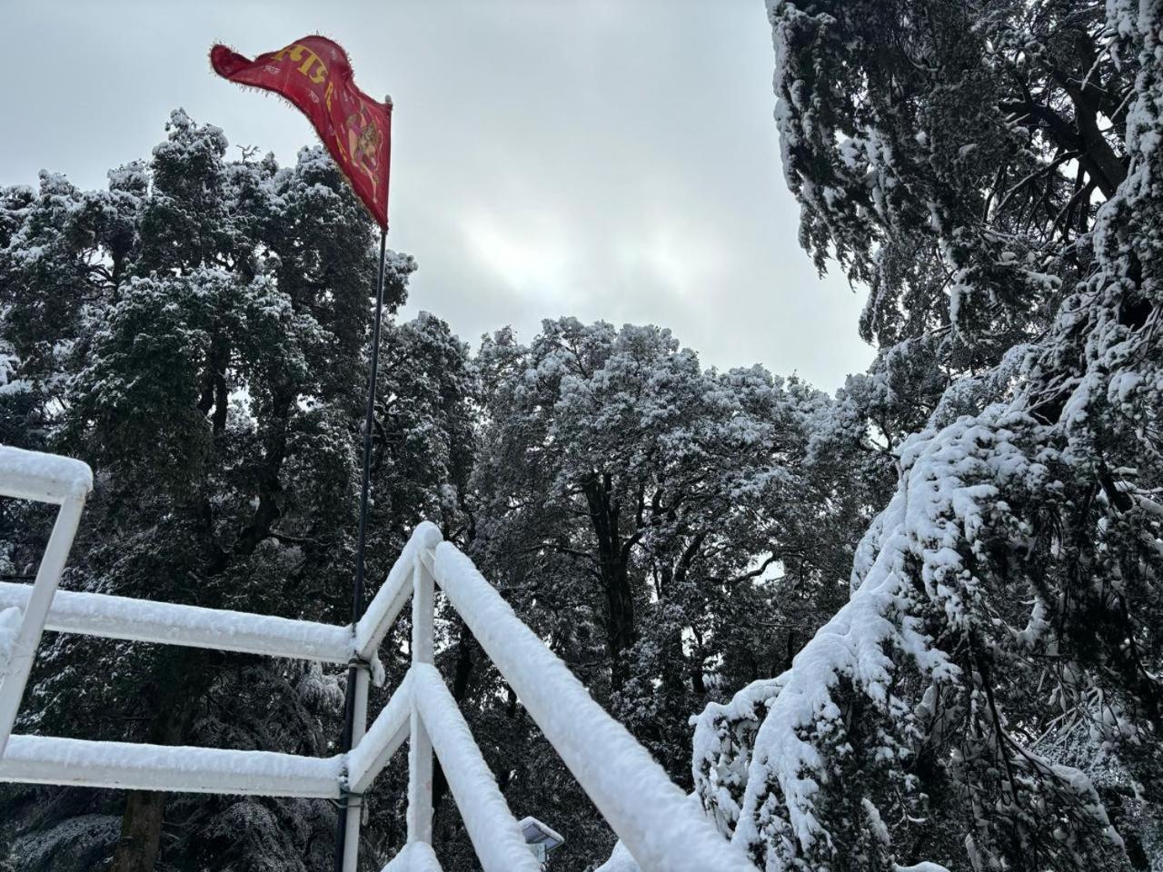 Hotel Jakhu Heights Shimla Exterior photo