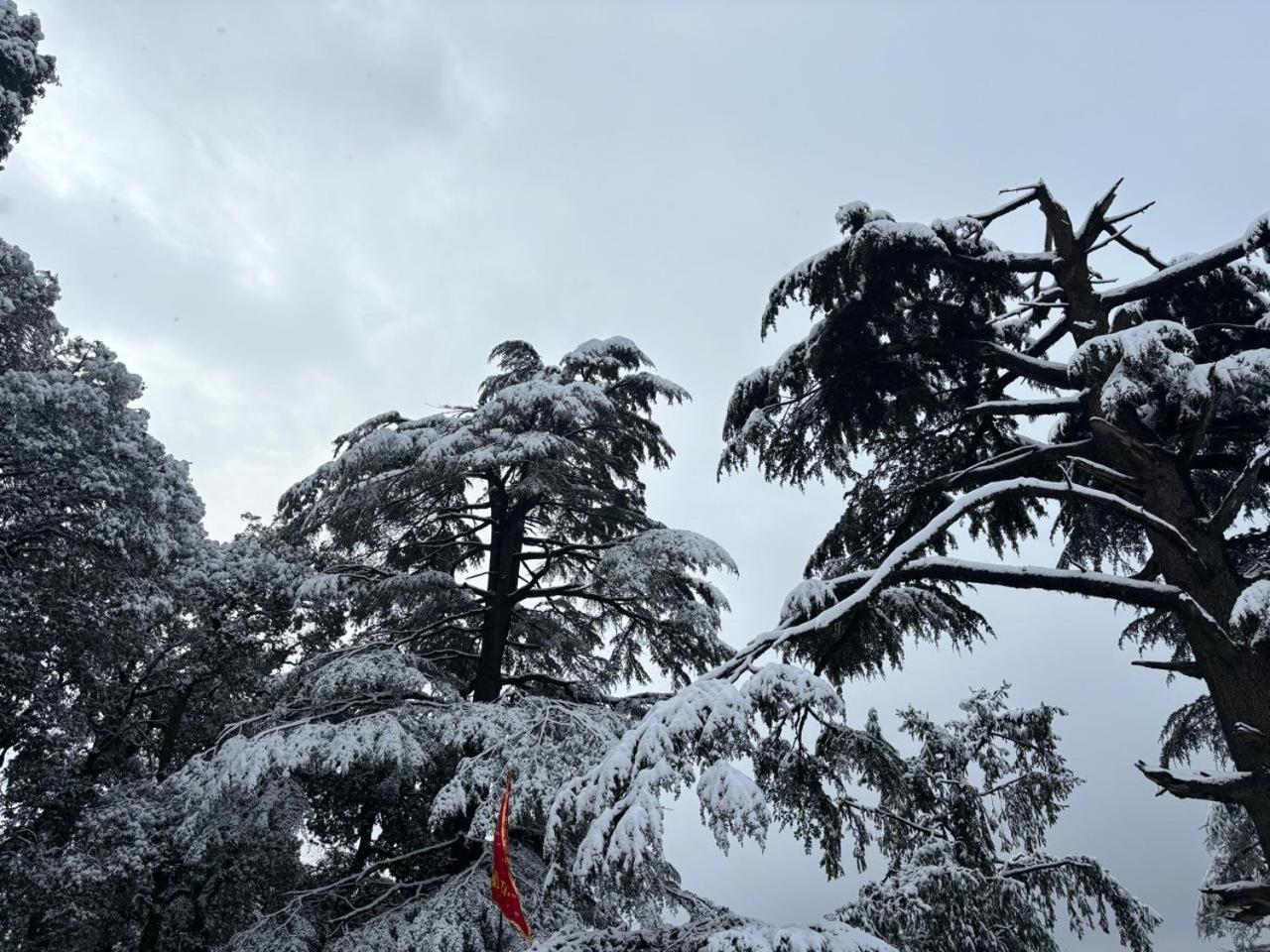 Hotel Jakhu Heights Shimla Exterior photo